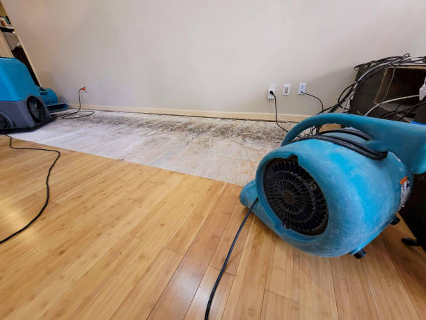Professional Basement Flood Cleanup technician working in Elk Grove, CA